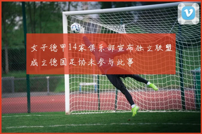 女子德甲14家俱乐部宣布独立联盟成立德国足协未参与此事