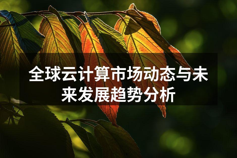 全球云计算市场动态与未来发展趋势分析