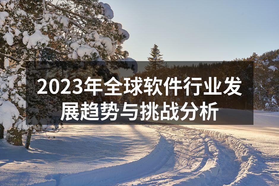 2023年全球软件行业发展趋势与挑战分析