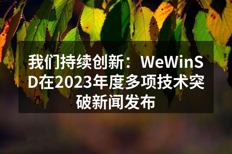 我们持续创新:WeWinSD在2023年