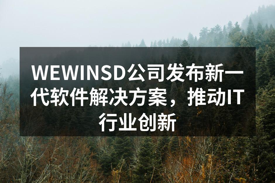 WEWINSD公司发布新一代软件解决方案