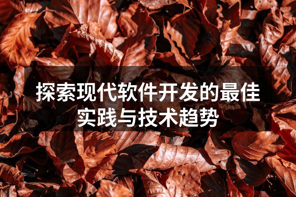 探索现代软件开发的最佳实践与技术趋势